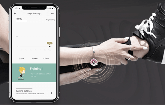 bracelet wearable tech