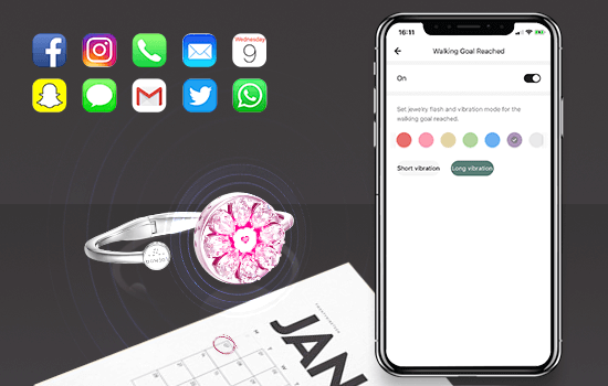 jewelry notification